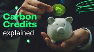 Carbon Credits explained