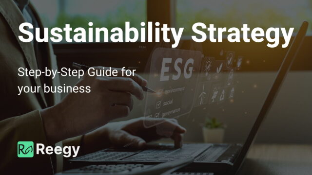 Corporate sustainability strategy with Reegy