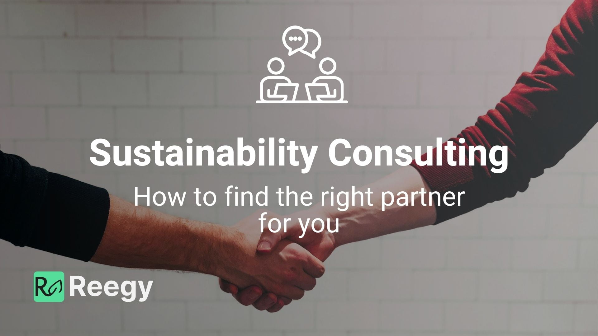 How to find the right sustainability consultant with Reegy