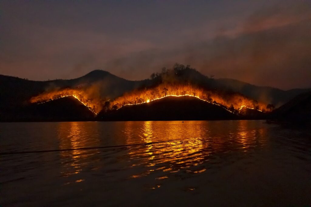 Trees burning by coast